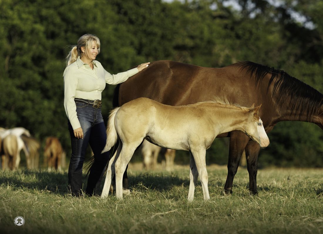 Susi Hutchins with a mare and foal